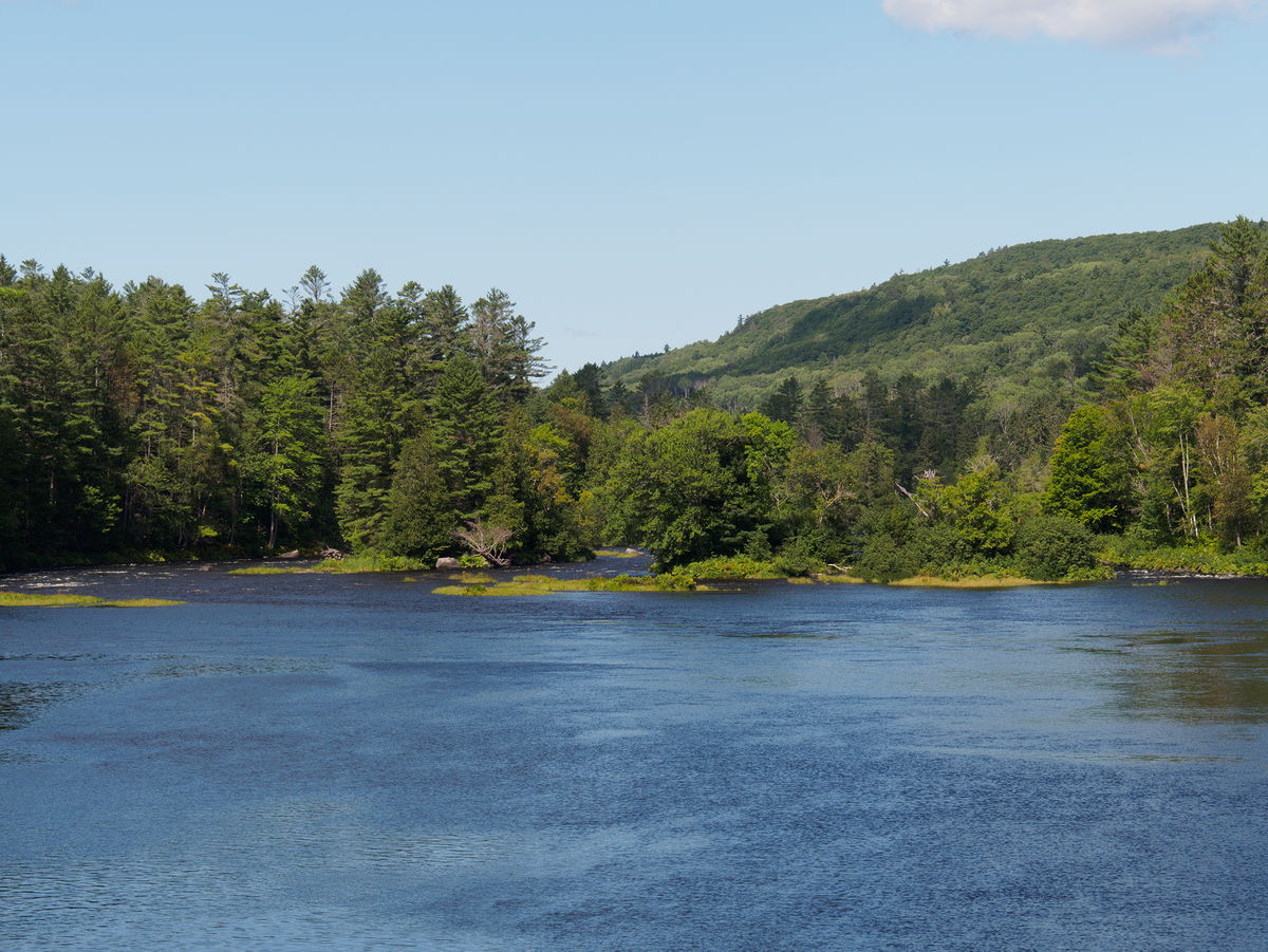 along the Five Mile Rapids portage in Algonquin Provincial Park