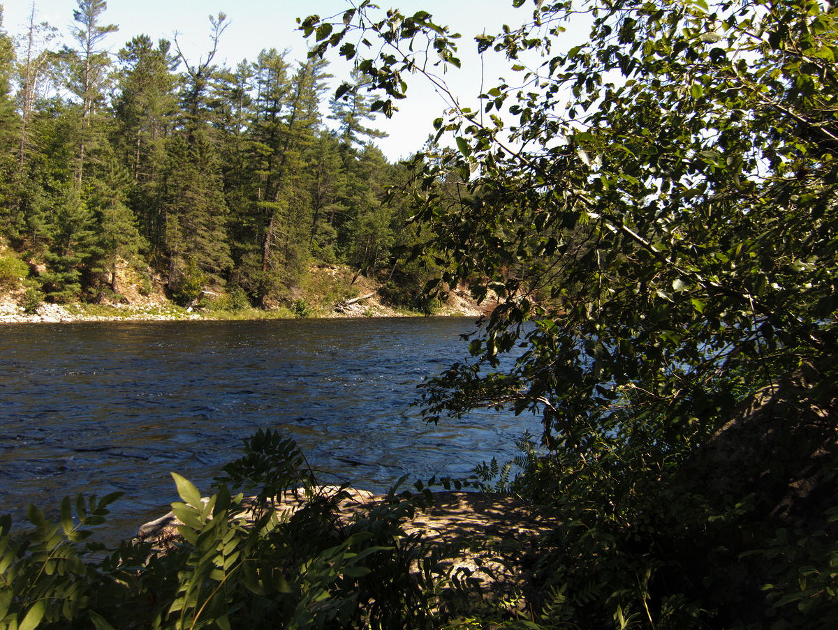 Along Five Mile Rapids in Algonquin Park