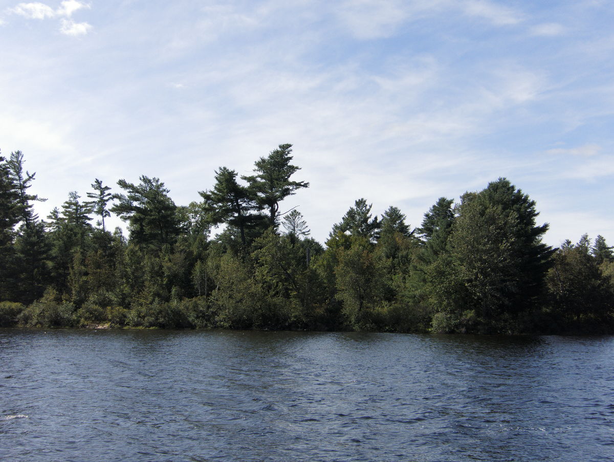 top of McManus Lake in Algonquin Provincial Park