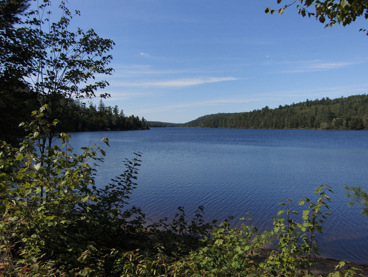 McManus Lake in Algonquin Park