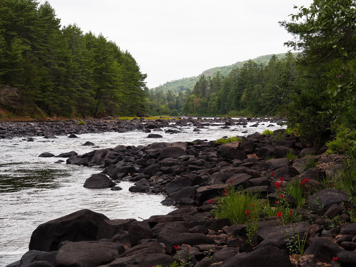 Exploring Five Mile Rapids  low water