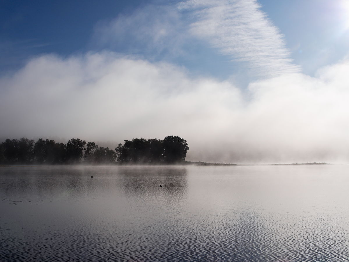 Another misty morning on Whitson Lake in Algonquin Park