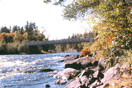 Algonquin Park  Petawawa River  Schooner Rapids  power lines 19760923