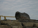 from a photo gallery showing the evolution of the deep river waterfront with particular emphasis on the reconstruction of centennial terrace in the summer of 2010