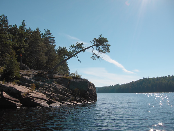Catfish Lake in Algonquin Park