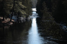 from a photo gallery depicting the advance of spring along the road to lake travers in algonquin park  2011 april 08