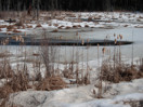from a photo gallery depicting the advance of spring along the road to lake travers in algonquin park  2011 april 08