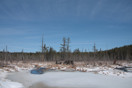 Frozen wetland along the Achray Road in Algonquin Park in early spring