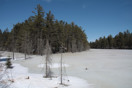 from a photo gallery depicting the advance of spring along the road to lake travers in algonquin park  2011 april 08