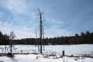 from a photo gallery depicting the advance of spring along the road to lake travers in algonquin park  2011 april 08