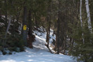 from a photo gallery depicting the advance of spring along the road to lake travers in algonquin park  2011 april 08