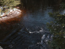 from a gallery of photos from a late april drive into achray in algonquin park