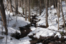 from a gallery of photos from a late april drive into achray in algonquin park