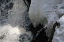 from a gallery of photos from a late april drive into achray in algonquin park