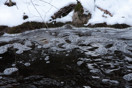 from a gallery of photos from a late april drive into achray in algonquin park