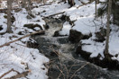 from a gallery of photos from a late april drive into achray in algonquin park
