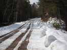 from a gallery of photos from a late april drive into achray in algonquin park