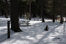 from a gallery of photos from a late april drive into achray in algonquin park
