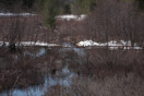 from a gallery of photos from a late april drive into achray in algonquin park