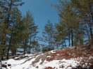 from a gallery of photos from a late april drive into achray in algonquin park