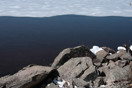 from a gallery of photos from a late april drive into achray in algonquin park