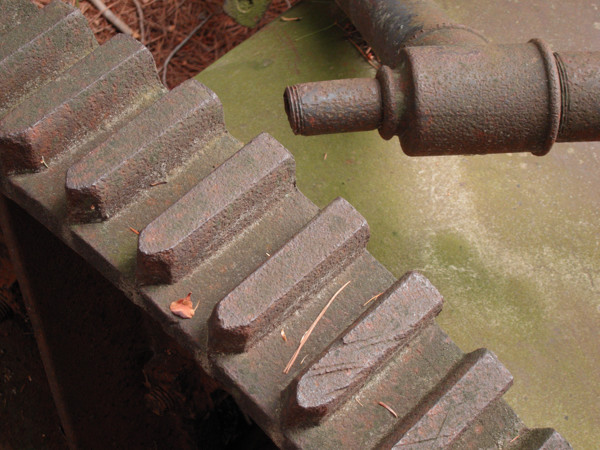 alligator machinery on Catfish Lake in Algonquin Park
