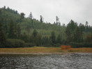 Residual wind damage from the microburst of 1999 along the northern end of Lake Travers in Algonquin Park