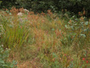 from a photo gallery documenting an exploration of lake travers in algonquin park  2011 september 12 through 15