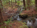 from a photo gallery documenting an exploration of lake travers in algonquin park  2011 september 12 through 15