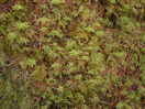 from a photo gallery documenting an exploration of lake travers in algonquin park  2011 september 12 through 15