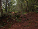 from a photo gallery documenting an exploration of lake travers in algonquin park  2011 september 12 through 15