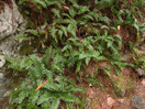 from a photo gallery documenting an exploration of lake travers in algonquin park  2011 september 12 through 15