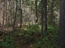 from a photo gallery documenting an exploration of lake travers in algonquin park  2011 september 12 through 15