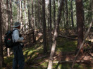 De Geer moraines at Lake Travers in Algonquin Park