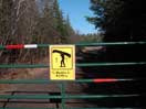 from a gallery of photos documenting the damage to the blackfox portgae trail from its reconstruction as a dogsled trail in the fall of 2011