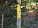from a gallery of photos documenting the damage to the blackfox portgae trail from its reconstruction as a dogsled trail in the fall of 2011