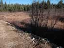 from a gallery of photos documenting the damage to the blackfox portgae trail from its reconstruction as a dogsled trail in the fall of 2011
