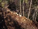 from a gallery of photos documenting the damage to the blackfox portgae trail from its reconstruction as a dogsled trail in the fall of 2011