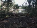 from a gallery of photos documenting the damage to the blackfox portgae trail from its reconstruction as a dogsled trail in the fall of 2011
