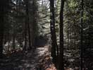 from a gallery of photos documenting the damage to the blackfox portgae trail from its reconstruction as a dogsled trail in the fall of 2011