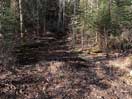 from a gallery of photos documenting the damage to the blackfox portgae trail from its reconstruction as a dogsled trail in the fall of 2011