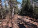 from a gallery of photos documenting the damage to the blackfox portgae trail from its reconstruction as a dogsled trail in the fall of 2011