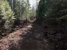 from a gallery of photos documenting the damage to the blackfox portgae trail from its reconstruction as a dogsled trail in the fall of 2011