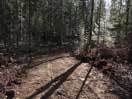 from a gallery of photos documenting the damage to the blackfox portgae trail from its reconstruction as a dogsled trail in the fall of 2011