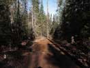 from a gallery of photos documenting the damage to the blackfox portgae trail from its reconstruction as a dogsled trail in the fall of 2011