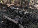 from a gallery of photos documenting the damage to the blackfox portgae trail from its reconstruction as a dogsled trail in the fall of 2011