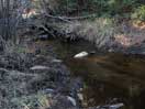 from a gallery of photos documenting the damage to the blackfox portgae trail from its reconstruction as a dogsled trail in the fall of 2011