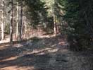 from a gallery of photos documenting the damage to the blackfox portgae trail from its reconstruction as a dogsled trail in the fall of 2011