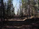 from a gallery of photos documenting the damage to the blackfox portgae trail from its reconstruction as a dogsled trail in the fall of 2011