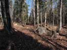 from a gallery of photos documenting the damage to the blackfox portgae trail from its reconstruction as a dogsled trail in the fall of 2011